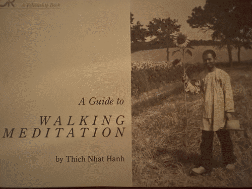 picture of the cover of the book A guide to walking meditation by Thich Nhat Hanh and Thich standing in a field holding a sunflower that is taller than him